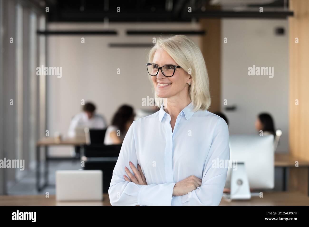 Mature professional woman in business hi-res stock photography and ...