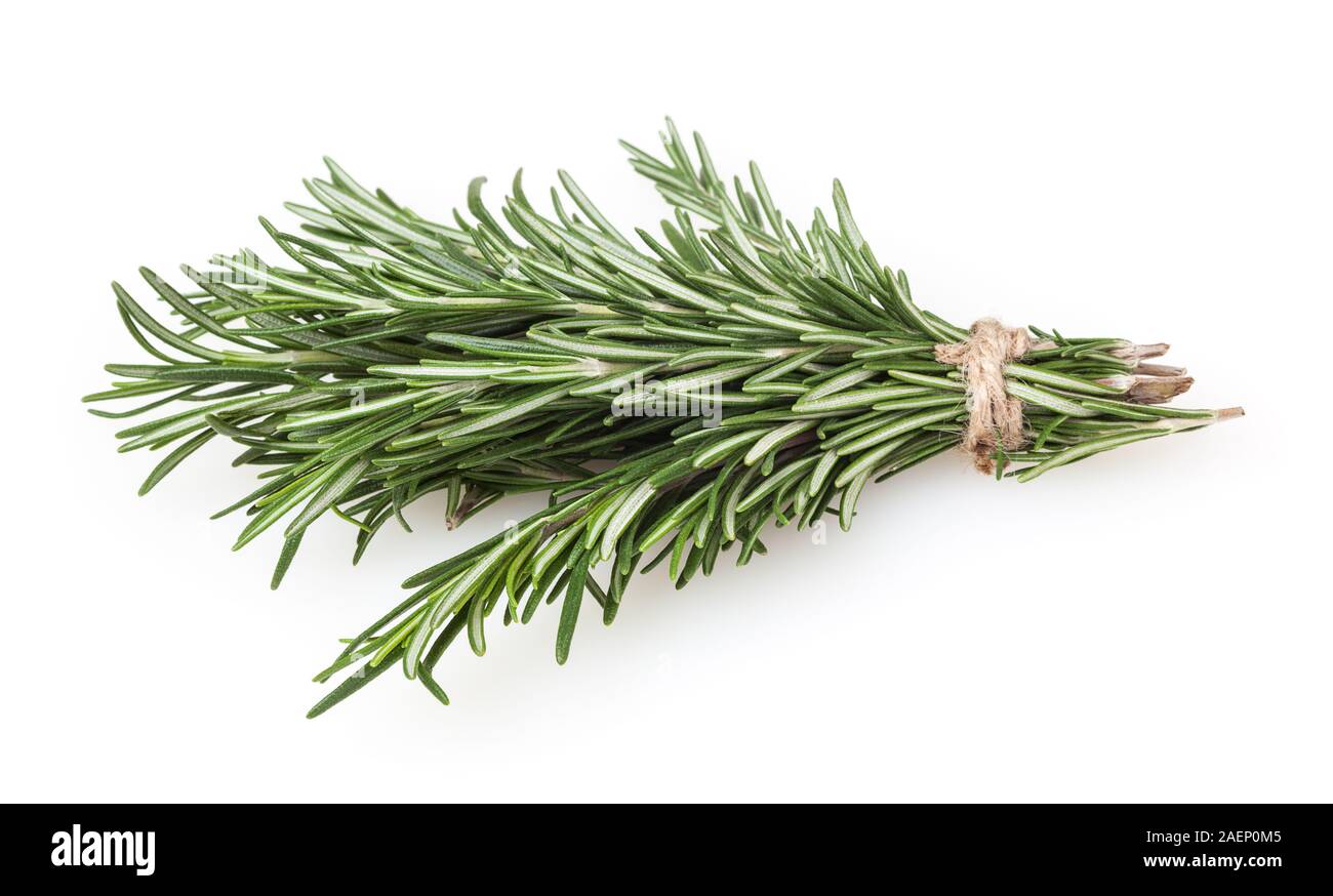 Fresh rosemary bunch isolated on white background Stock Photo - Alamy