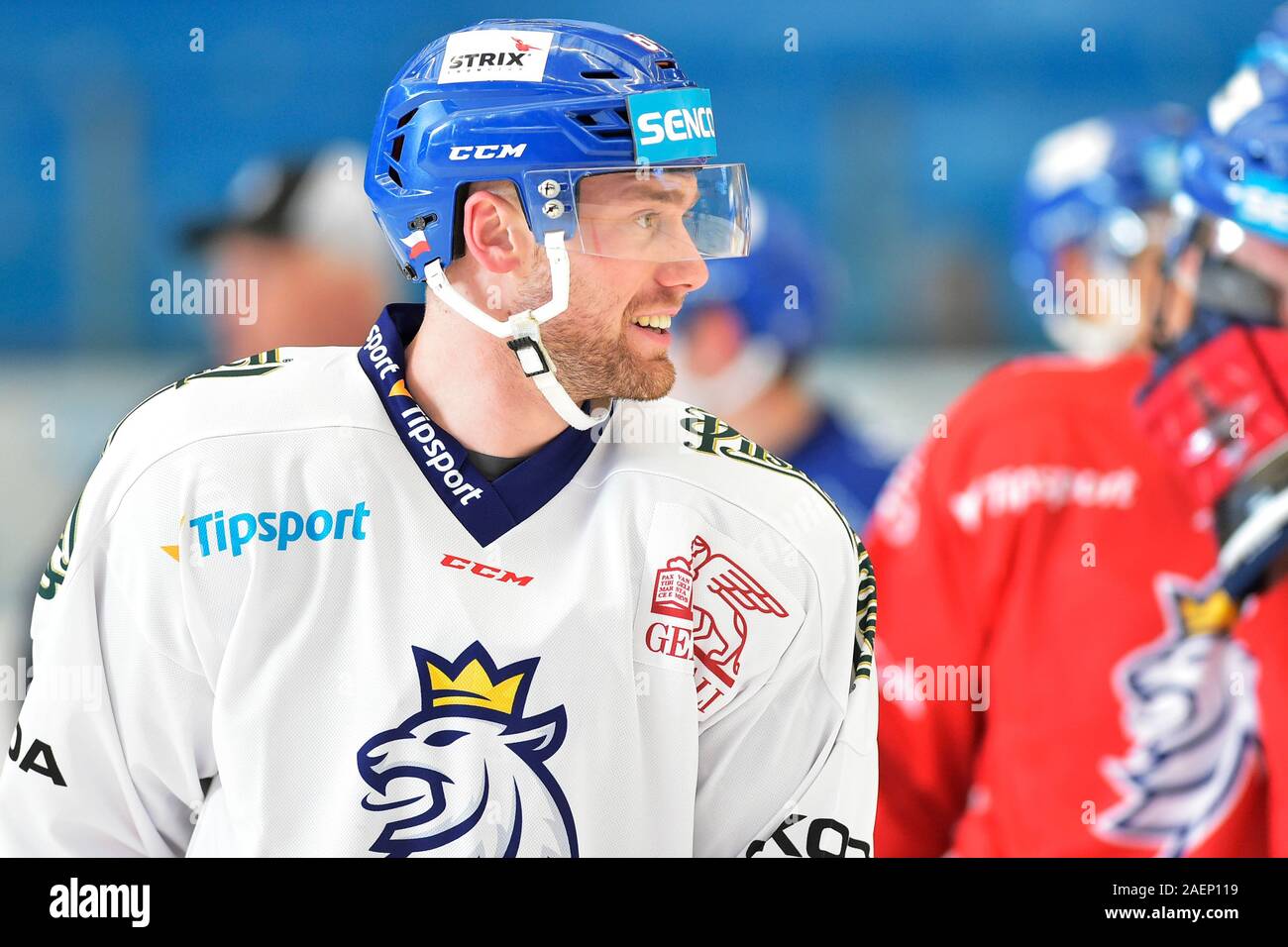 Pilsen, Czech Republic. 10th Dec, 2019. Czech hockey players in action during the training session prior to match Czech Republic vs Finland; ice-hockey Channel One Cup game, part of Euro Hockey Tour in Plzen, Czech Republic, December 10, 2019. Credit: Miroslav Chaloupka/CTK Photo/Alamy Live News Stock Photo