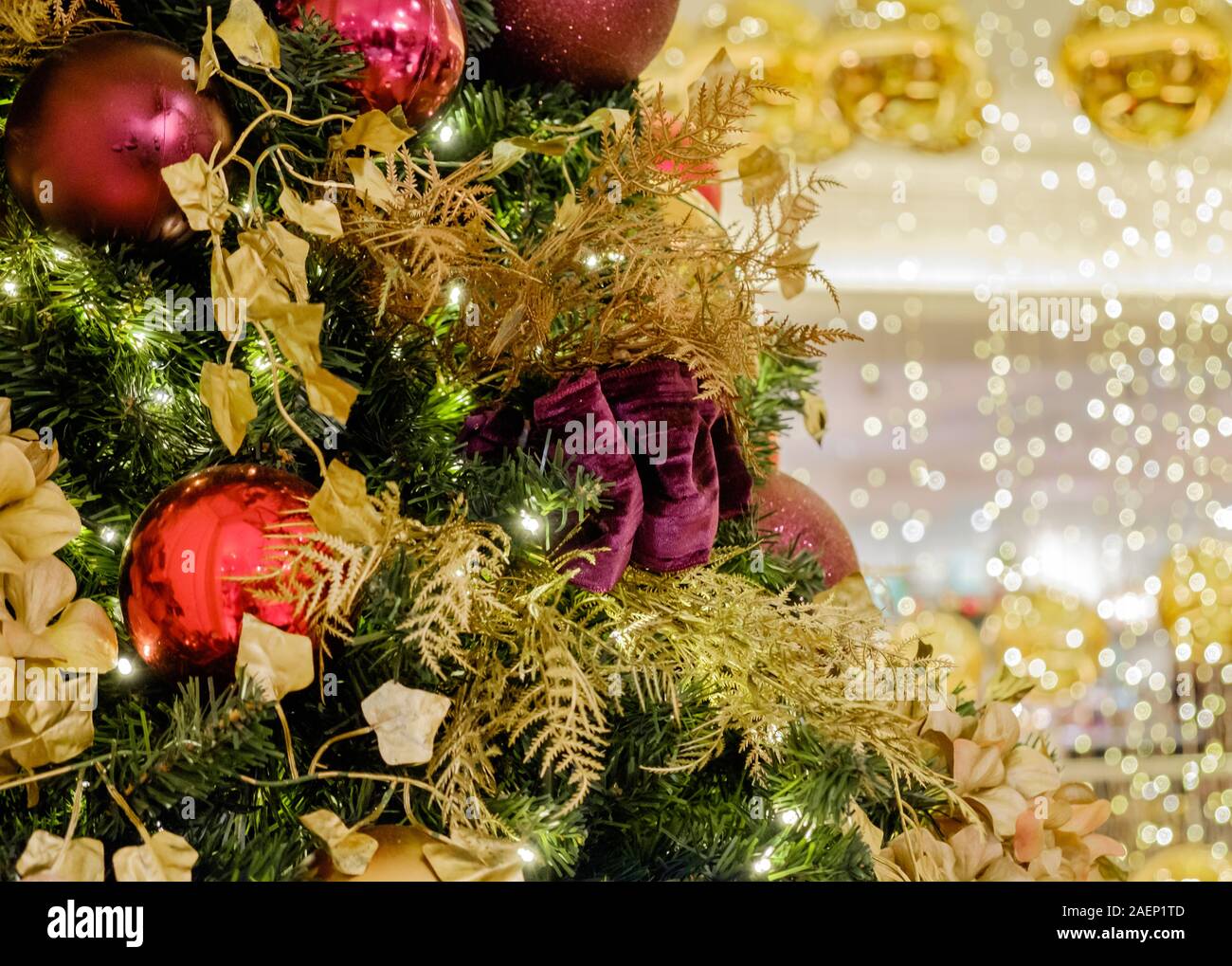Close Up of Christmas Tree with colourful red purple and gold baubles and decorations and blurred festive background. Stock Photo