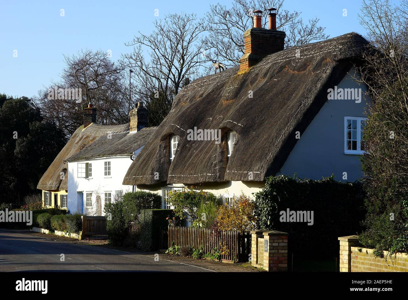 Attractive thatched cottages in the High Street at Foxton, Cambridgeshire Stock Photo