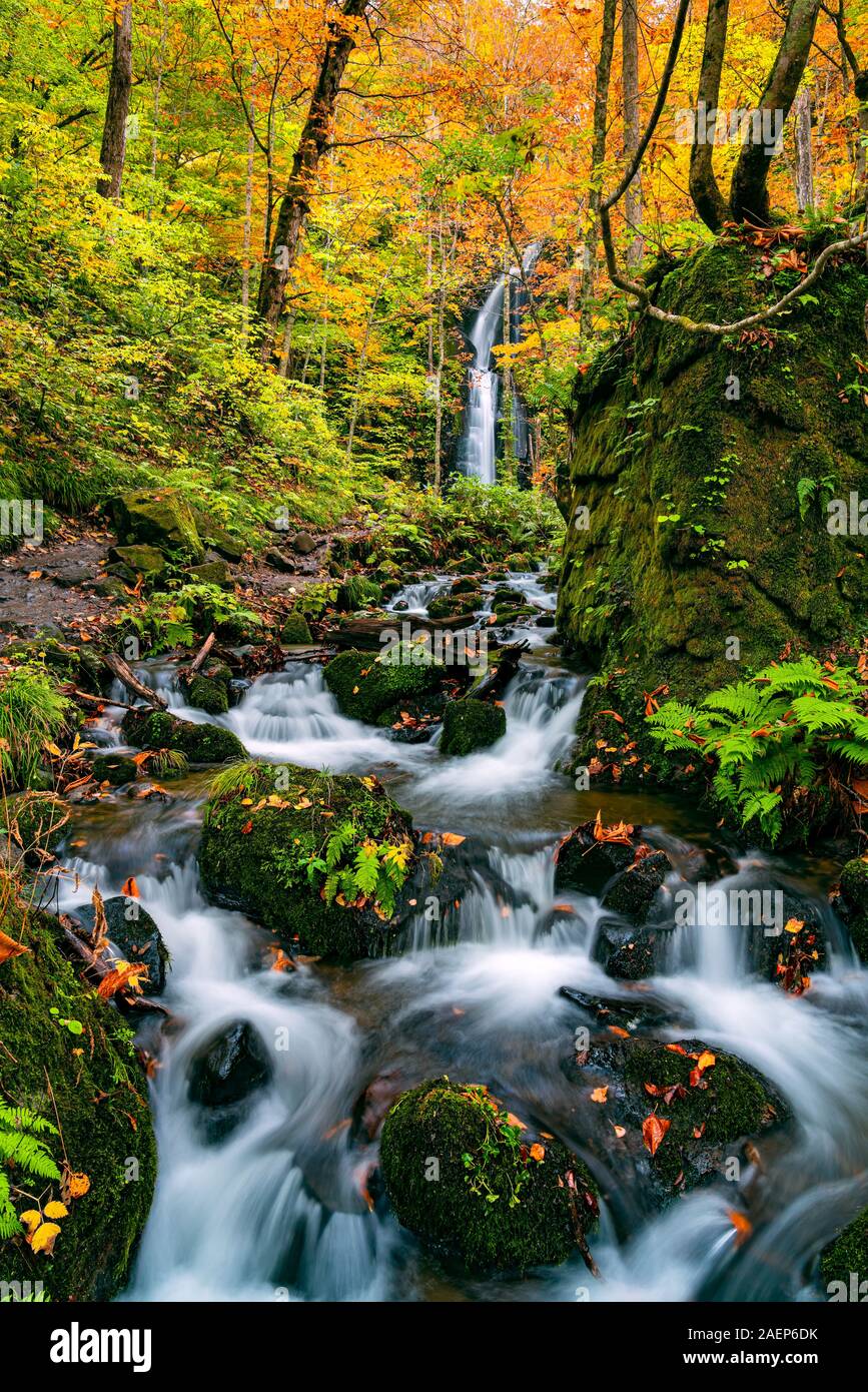 View of kumoi no Taki waterfalls at the Oirase Stream Walking Trail with the colorful foliage of autumn season forest in Oirase Valley, Towada Hachima Stock Photo