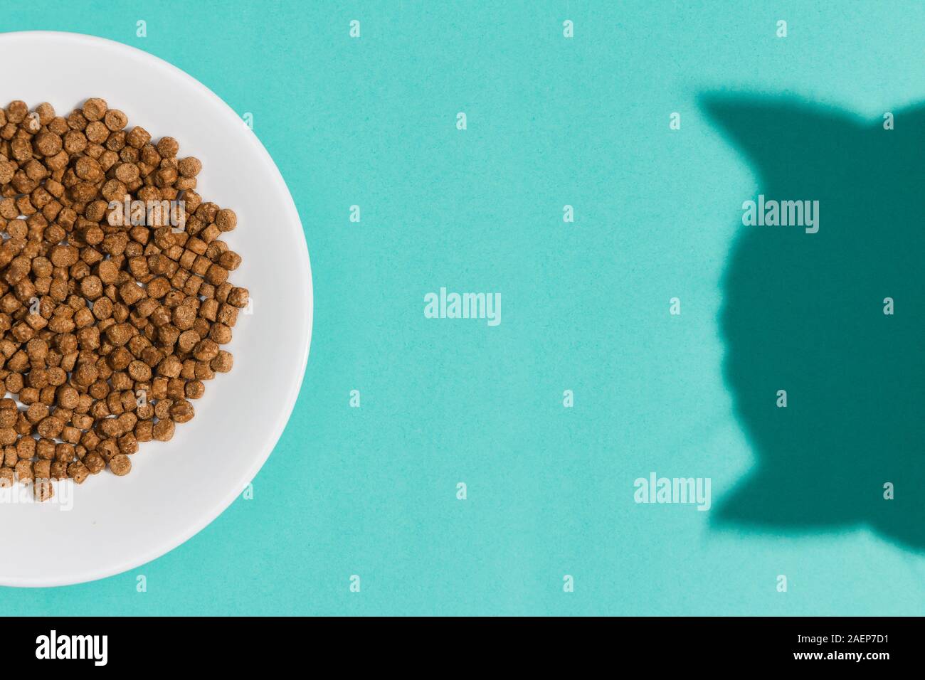 Plate with dry cat food and curious cat shadow on blue background. Direct light. Top view. Flat lay mockup. Stock Photo