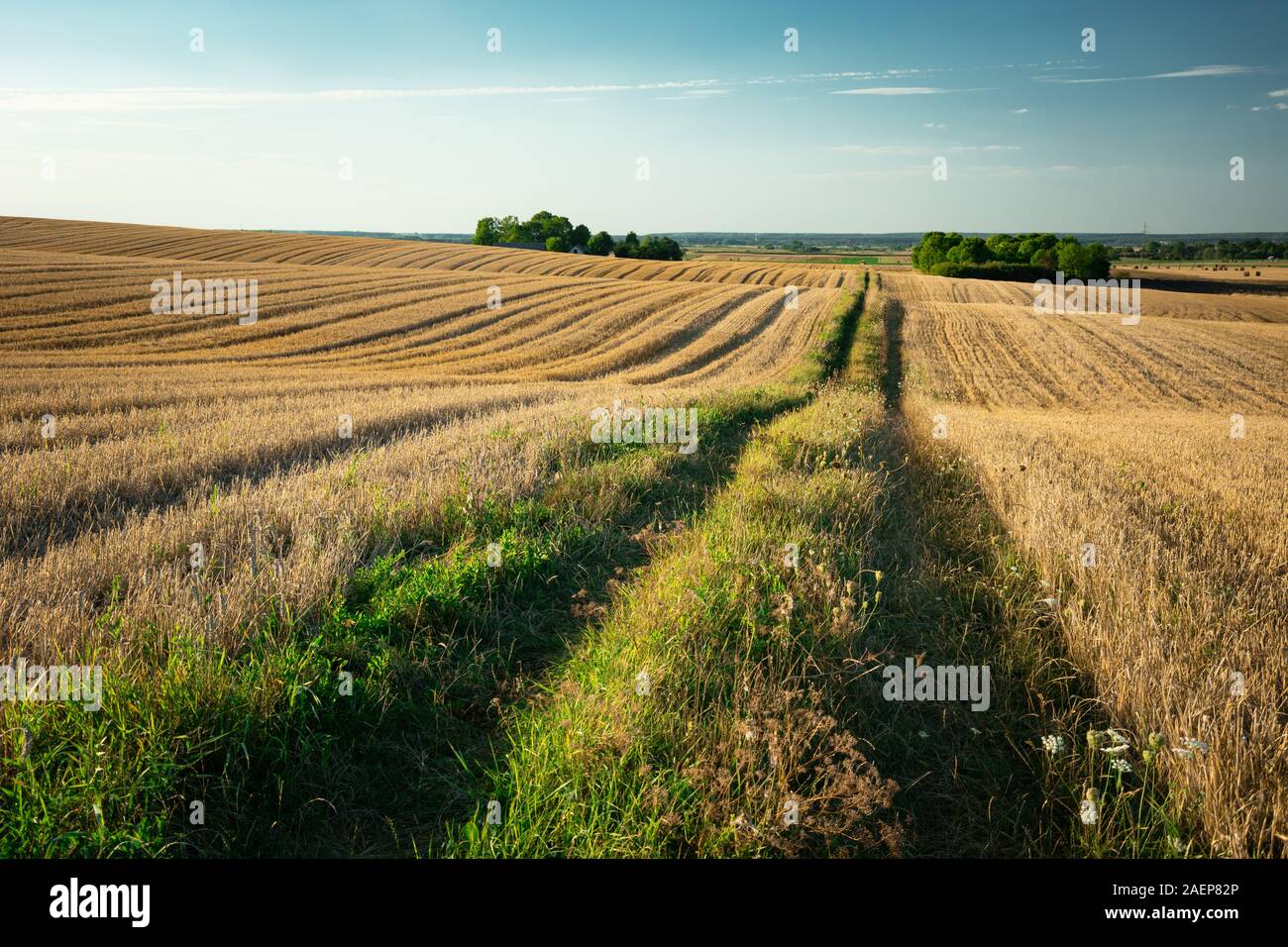 Dirt road through hilly fields, horizon and sky, summer view Stock Photo
