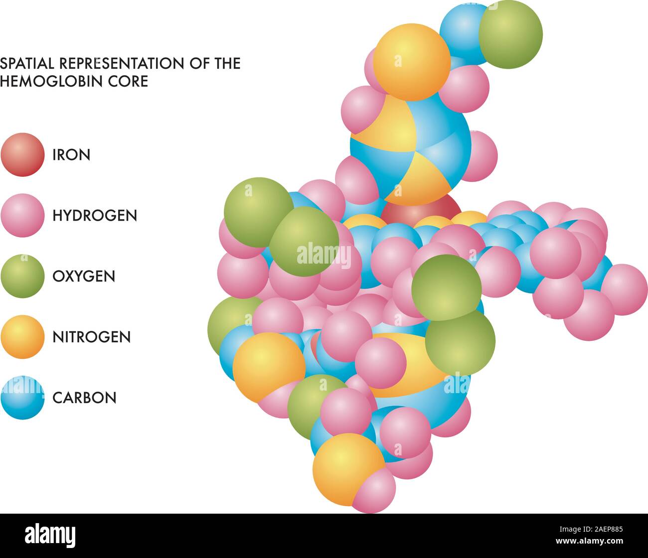 Medical illustration of hemoglobin core spatial representation with molecules of iron, hydrogen, oxygen, nitrogen and carbon in color coded shapes. Stock Vector