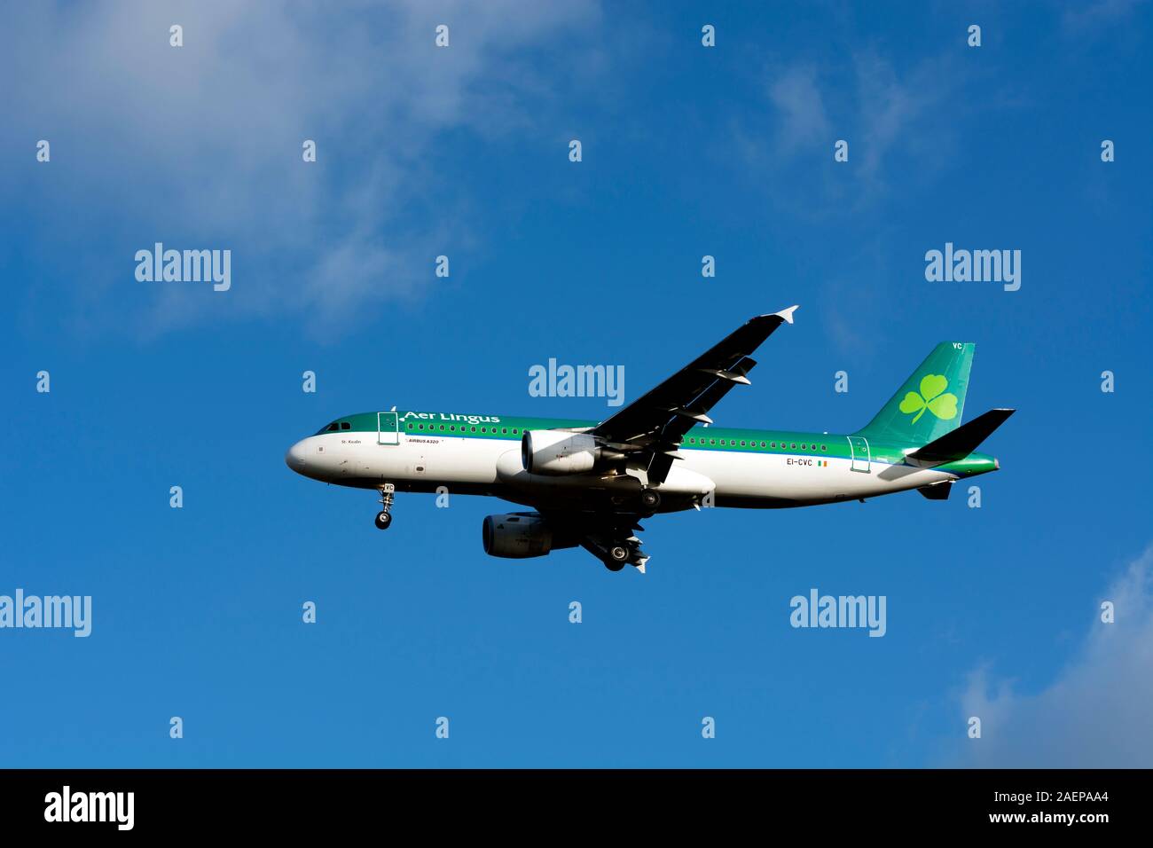 Aer Lingus Airbus A320-214 landing at Birmingham Airport, UK (EI-CVC) Stock Photo