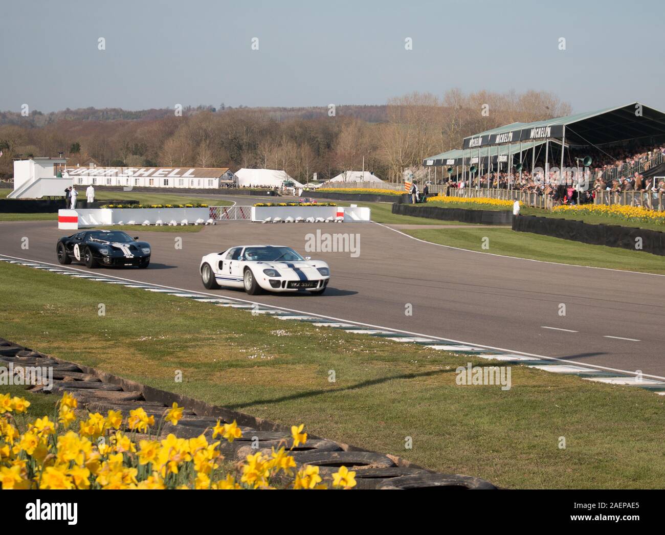 Goodwood Motor racing Chichester West Sussex Members Meeting Stock ...