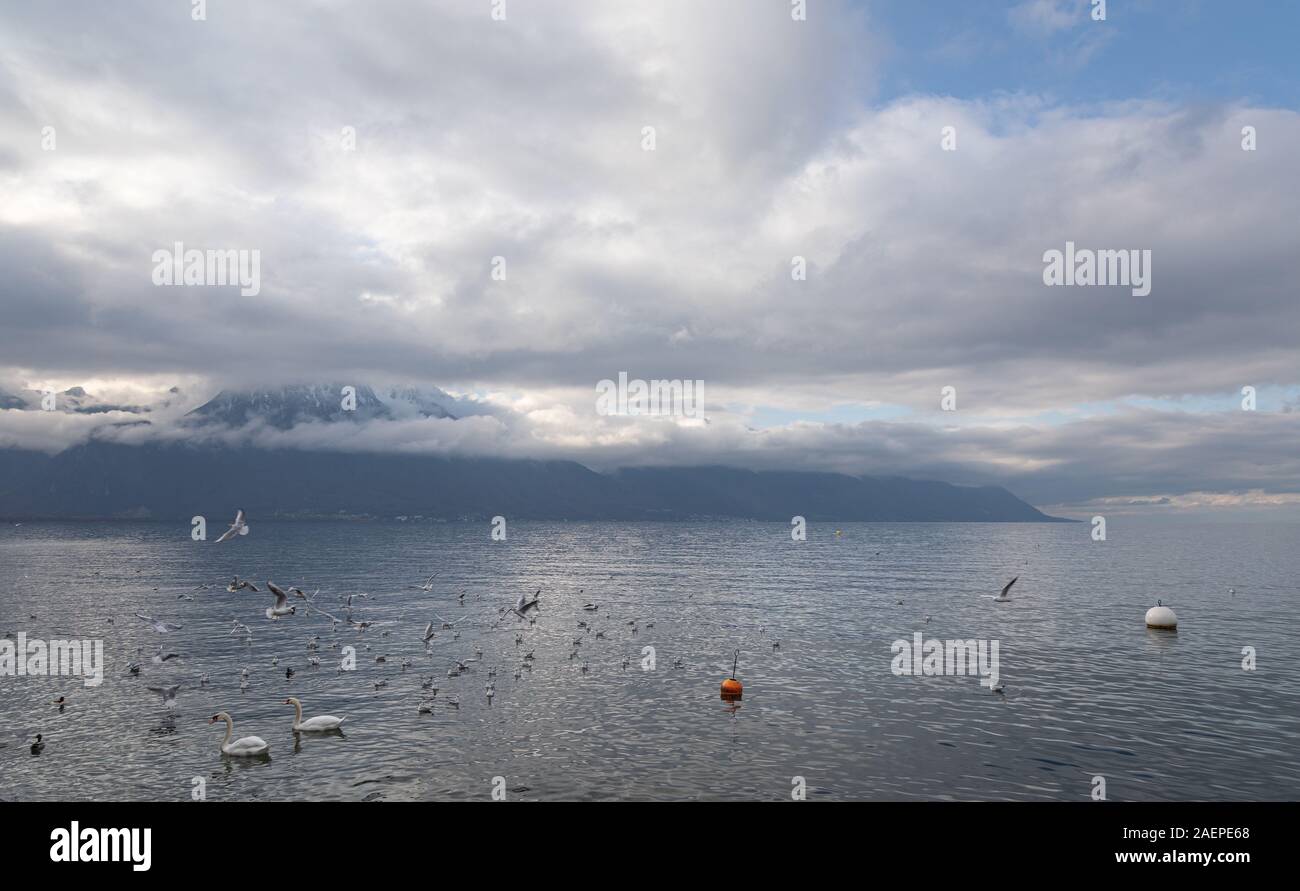 Geneva Lake, Switzerland. View on Beautiful Lake with stormy clouds and ...