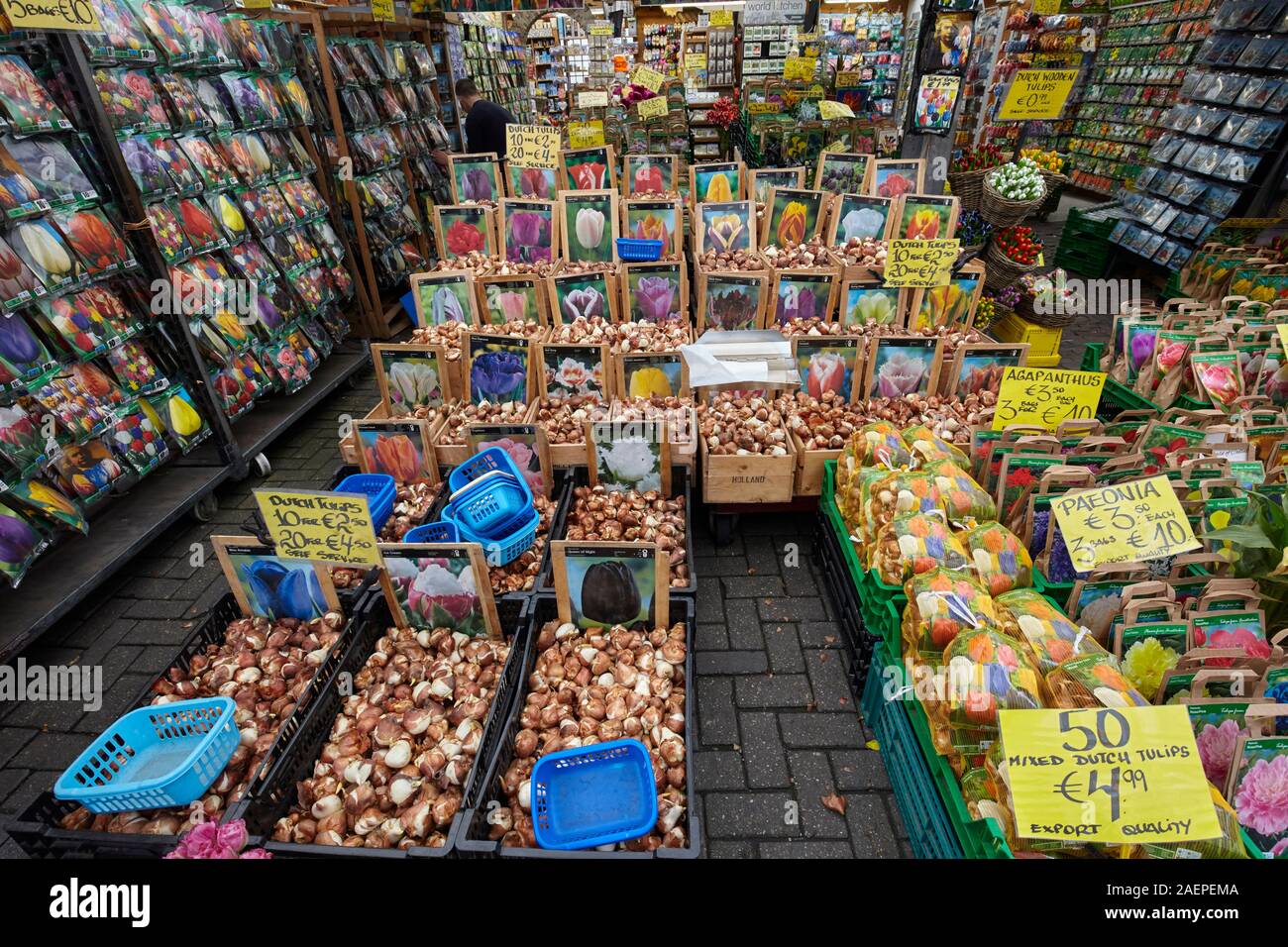 Tulip bulbs at Bloemenmarkt flower markets in the Singel canal, Amsterdam, Netherlands Stock Photo