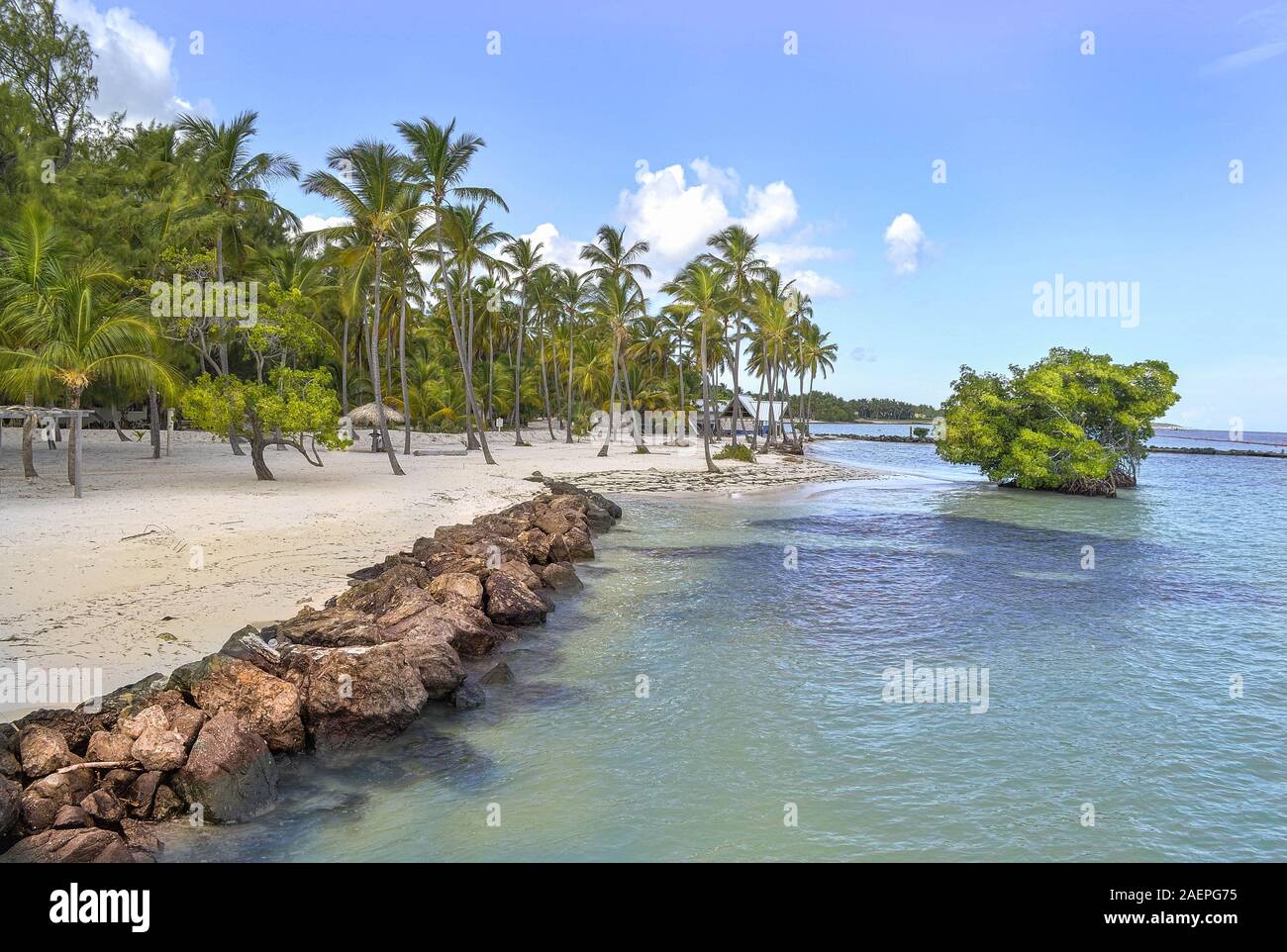 Palm trees, sea, ocean, Santo Domingo Stock Photo