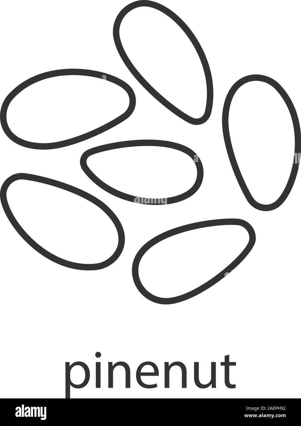 Pinenuts linear icon. Thin line illustration. Contour symbol. Vector ...