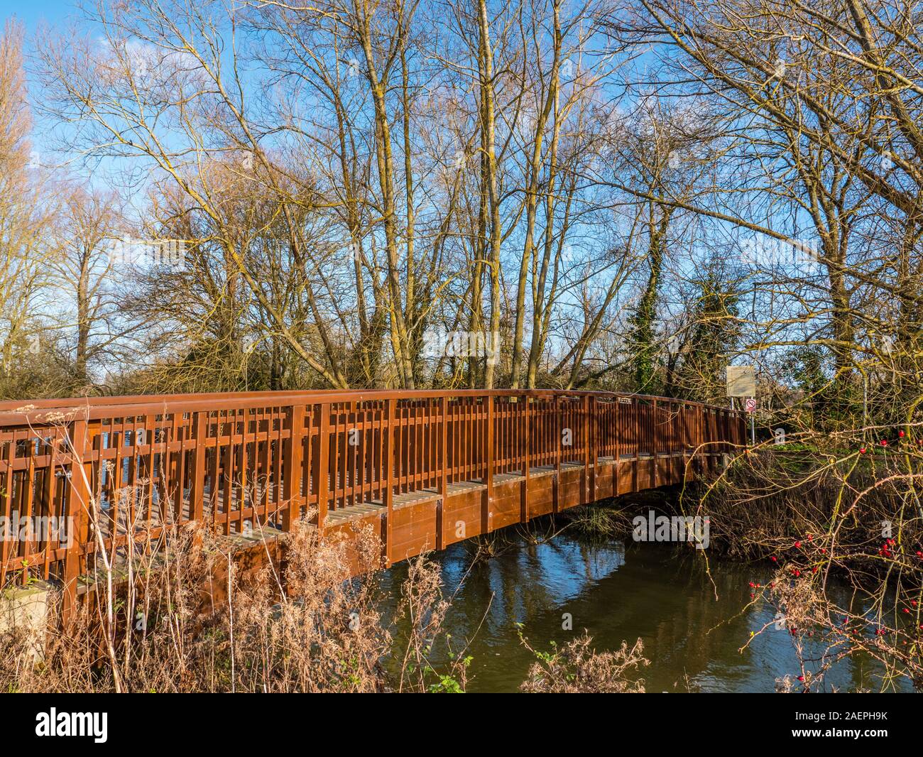 Footbridge Crossing River Cherwell, Winter Trees and Plants, University Parks, Oxford, Oxfordshire, England, UK, GB. Stock Photo