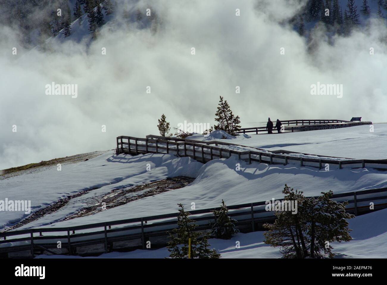 This wooden walkway leads to the Grand Prismatic Springs. The steam rises from the thermal runoff and the hot water flows into the Firehole River. Stock Photo