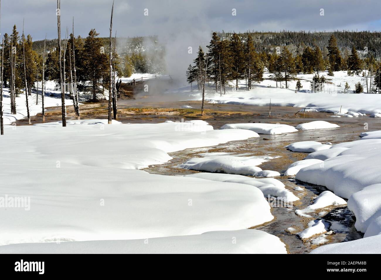 Small geysers in wintertime put steam in the air from the hot water that flows from Yellowstone National Park thermals. Stock Photo