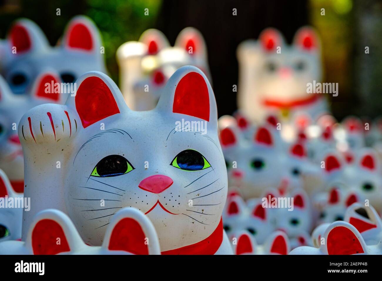 Beckoning cats of Japan Stock Photo Alamy