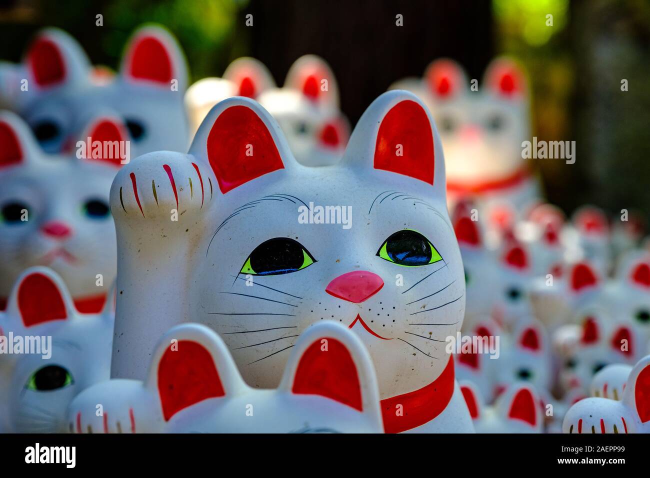 Beckoning cats of Japan Stock Photo Alamy
