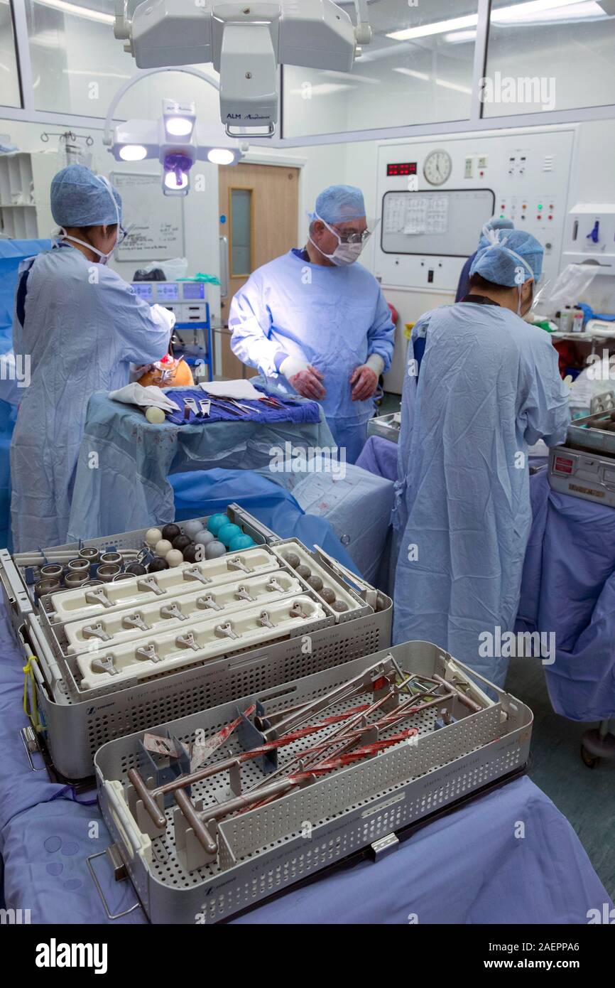 Surgeons at an NHS Hospital perform a knee operation, known as an Arthroplasty, to repair the damaged joint with an artificial one. Stock Photo