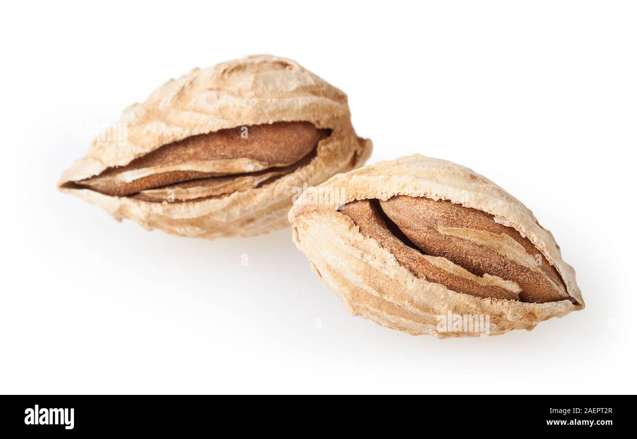 Almonds isolated on white background with clipping path Stock Photo