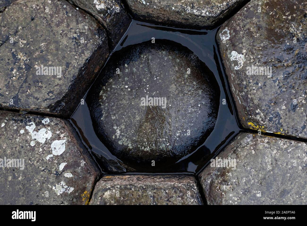 Irregular round shape in the hexagonal pool at Giant's Causeway, Co