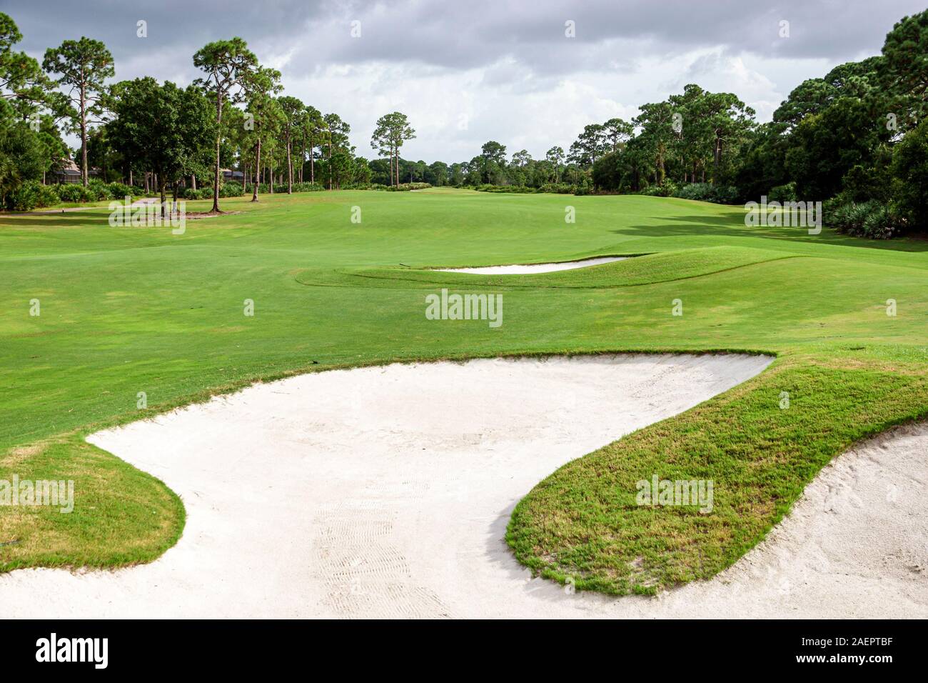 Port St Saint Lucie Florida,PGA Golf Club at PGA Village,course fairway,sand trap,bunker,pine trees,FL190920007 Stock Photo