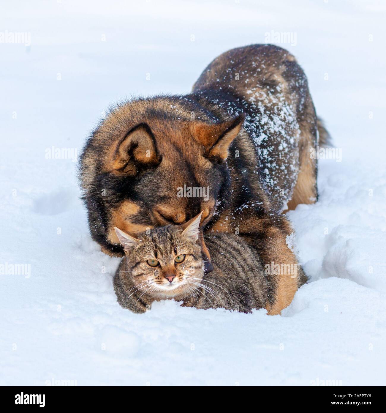 My Image 15