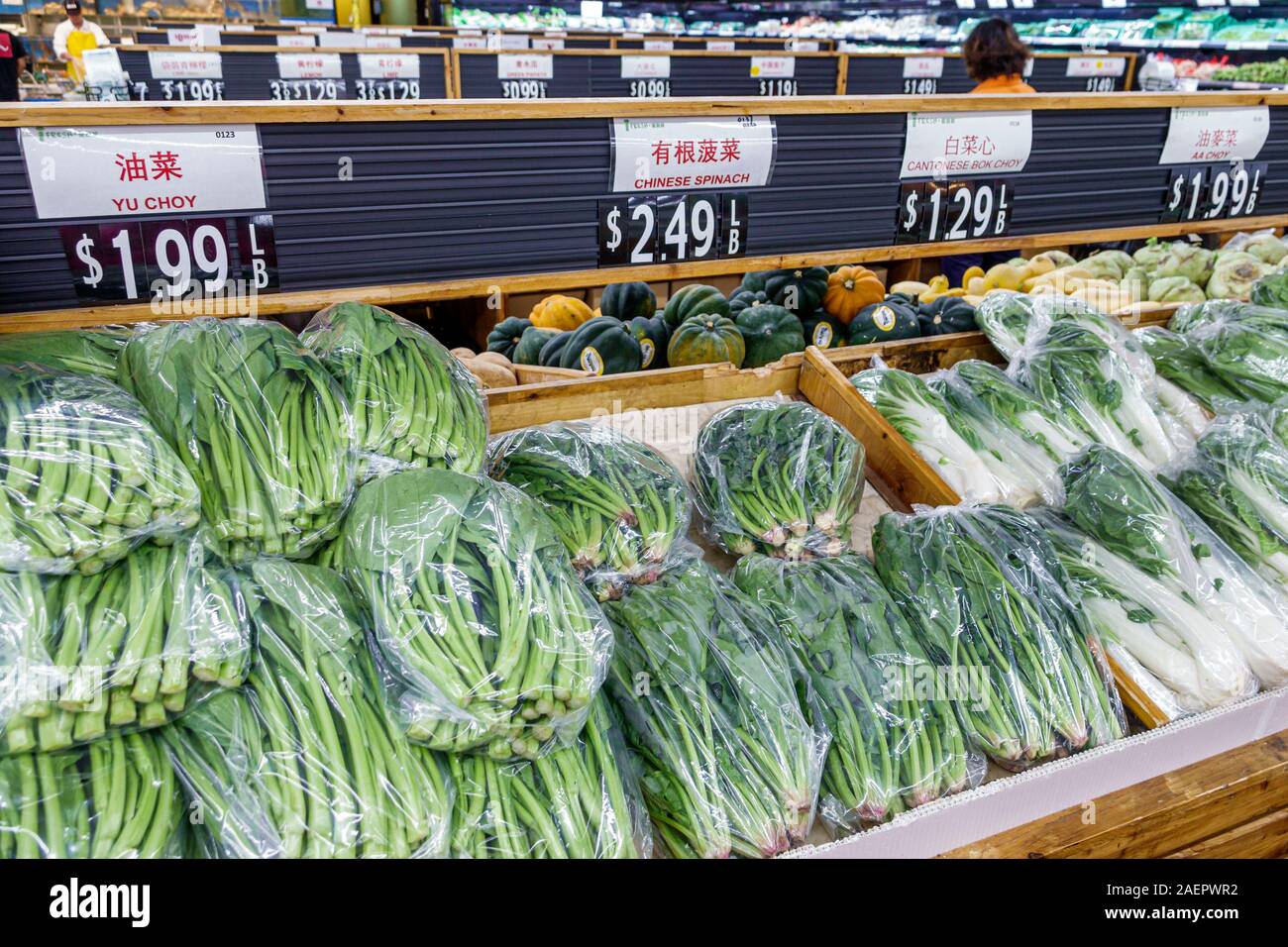 Orlando Florida,East Colonial Drive,Little Vietnam,Asian,iFresh Market,inside,produce,vegetables,yu choy,bok choy,Chinese spinach,display sale,FL19092 Stock Photo