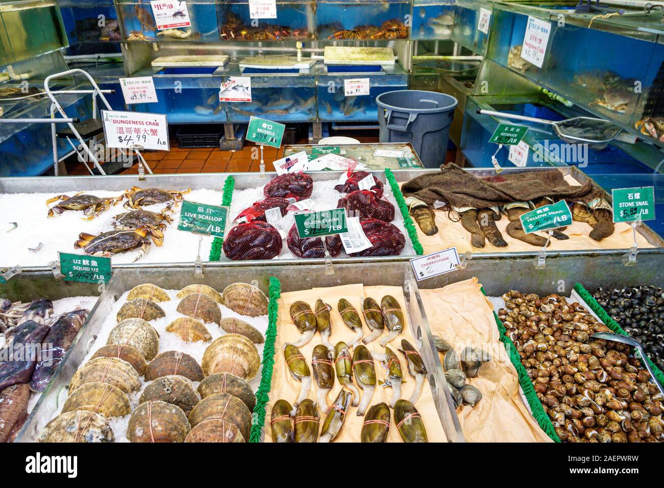 Orlando Florida,East Colonial Drive,Little Vietnam,Asian,iFresh Market,inside,fresh fish seafood,clams,crabs,squid,display sale,FL190920142 Stock Photo