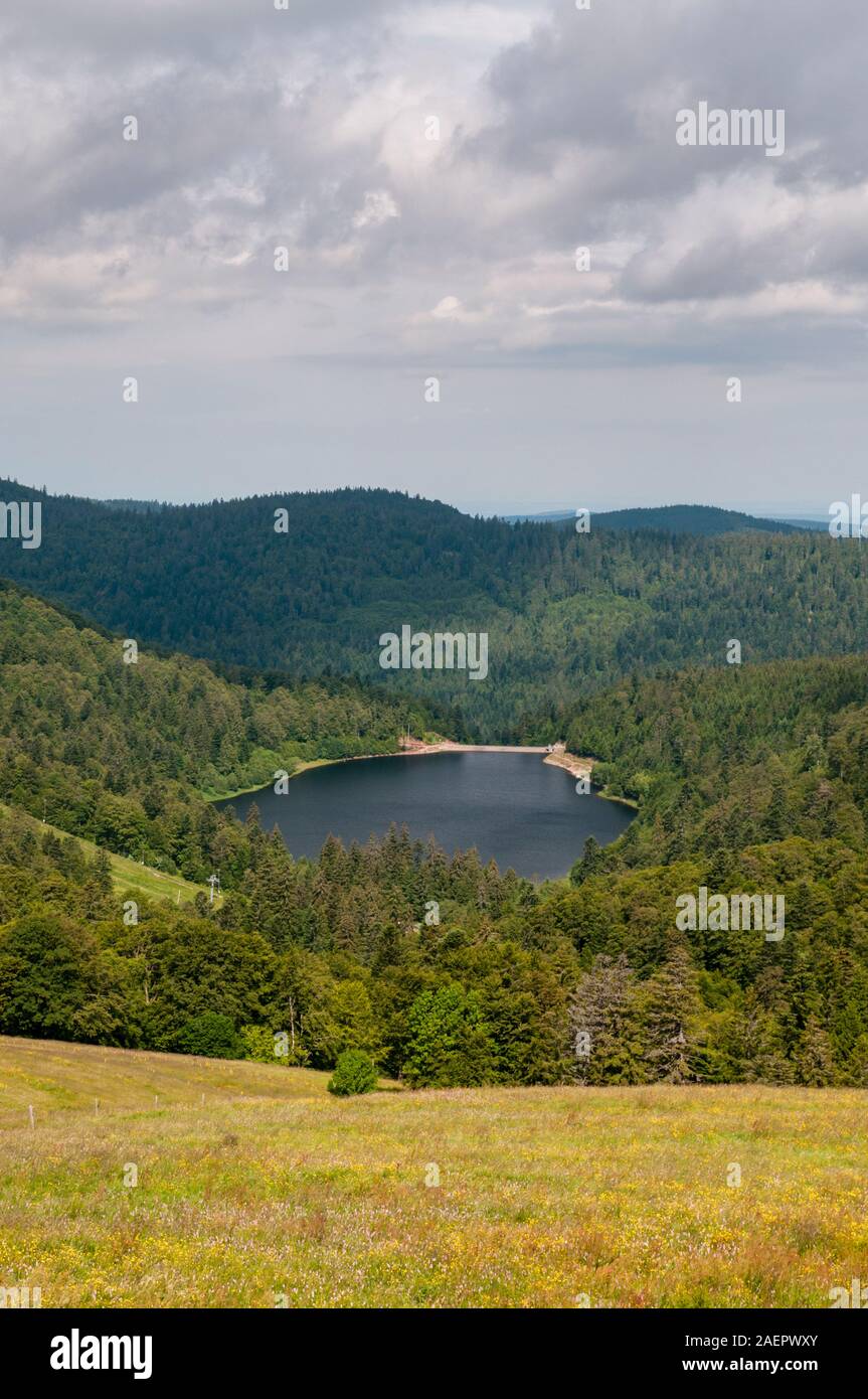 La Lande Lake From La Route Des Cretes Vosges 88 Grand Est Region 