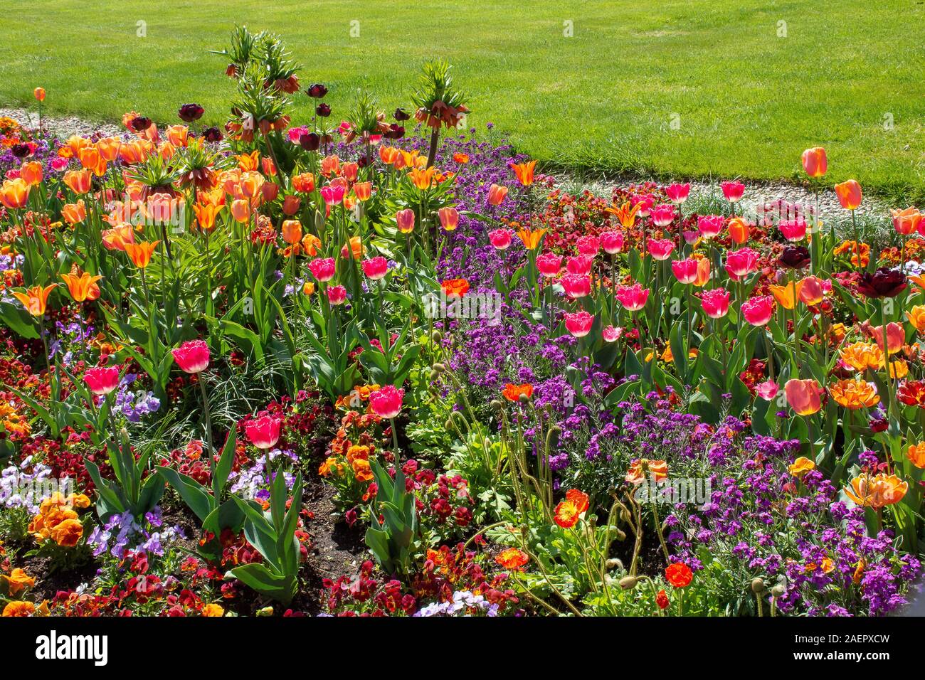 Blumen im Blumenpark • Ldkr.DonauRies, Schwaben, Bayern, Deutschland