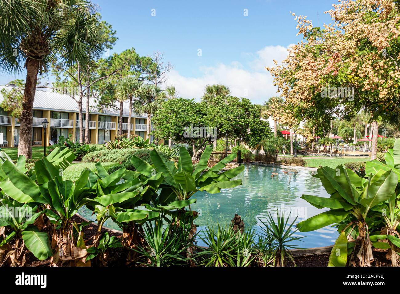 Orlando Florida,Wyndham Orlando Resort International Drive,hotel,exterior,garden,property,landscaping,water feature,vegetation,FL191110055 Stock Photo