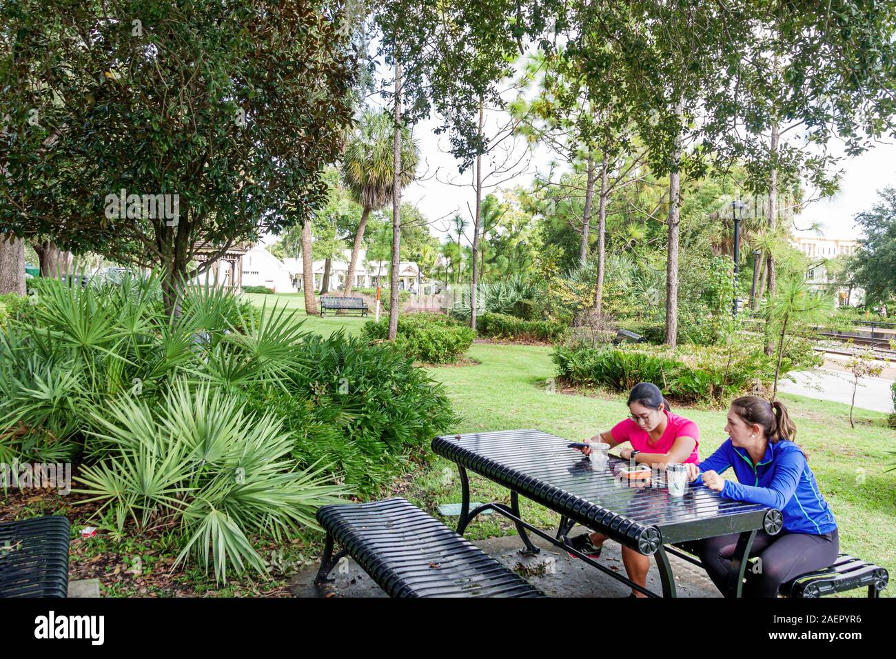 Orlando Winter Park Florida,Downtown,historic district,Central Park,public urban green space,picnic bench,Asian Asians ethnic immigrant immigrants min Stock Photo