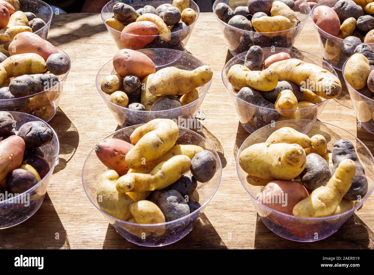 Orlando Winter Park Florida,Downtown,historic district,Farmers' Market,weekly Saturday outdoor,vendor,produce stand,fingerling potatoes,red,purple,pla Stock Photo