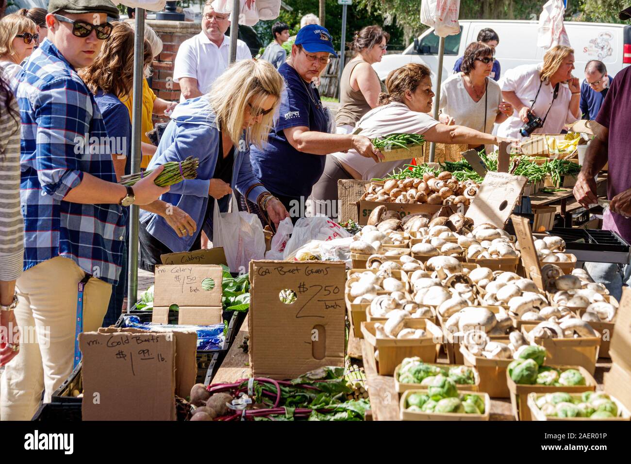 Orlando Winter Park Florida,Downtown,historic district,Farmers' Market,weekly Saturday outdoor,vendor,produce stand,vegetables,man,woman,reaching,shop Stock Photo