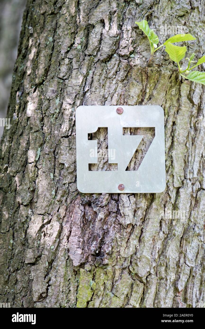 The number 17 nailed to a tree at Gobion Wood lake. Stock Photo