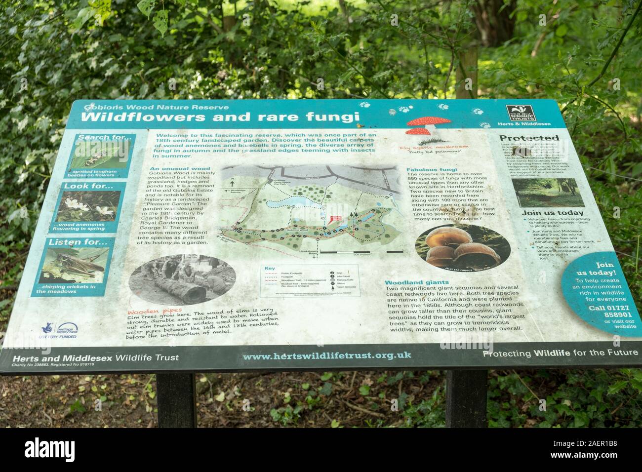 Wildflowers and rare fungi wildlife trust noticeboard in Gobions wood. Stock Photo