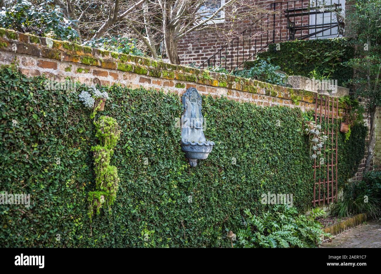 Ivy, birdbath and succulent plants containers on a wall, Charleston, South Carolina, USA Stock Photo