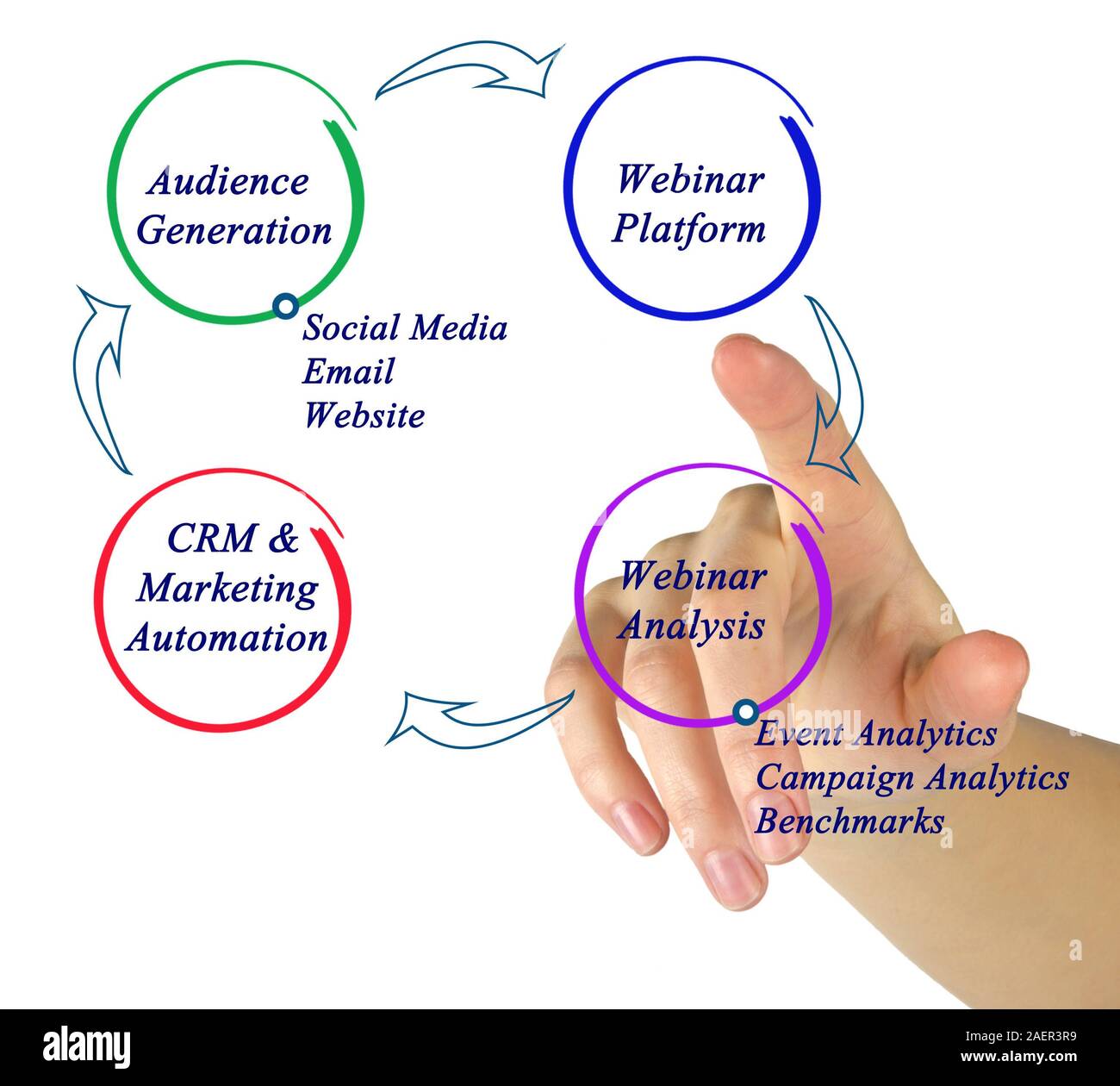 Diagram of marketing cycle Stock Photo
