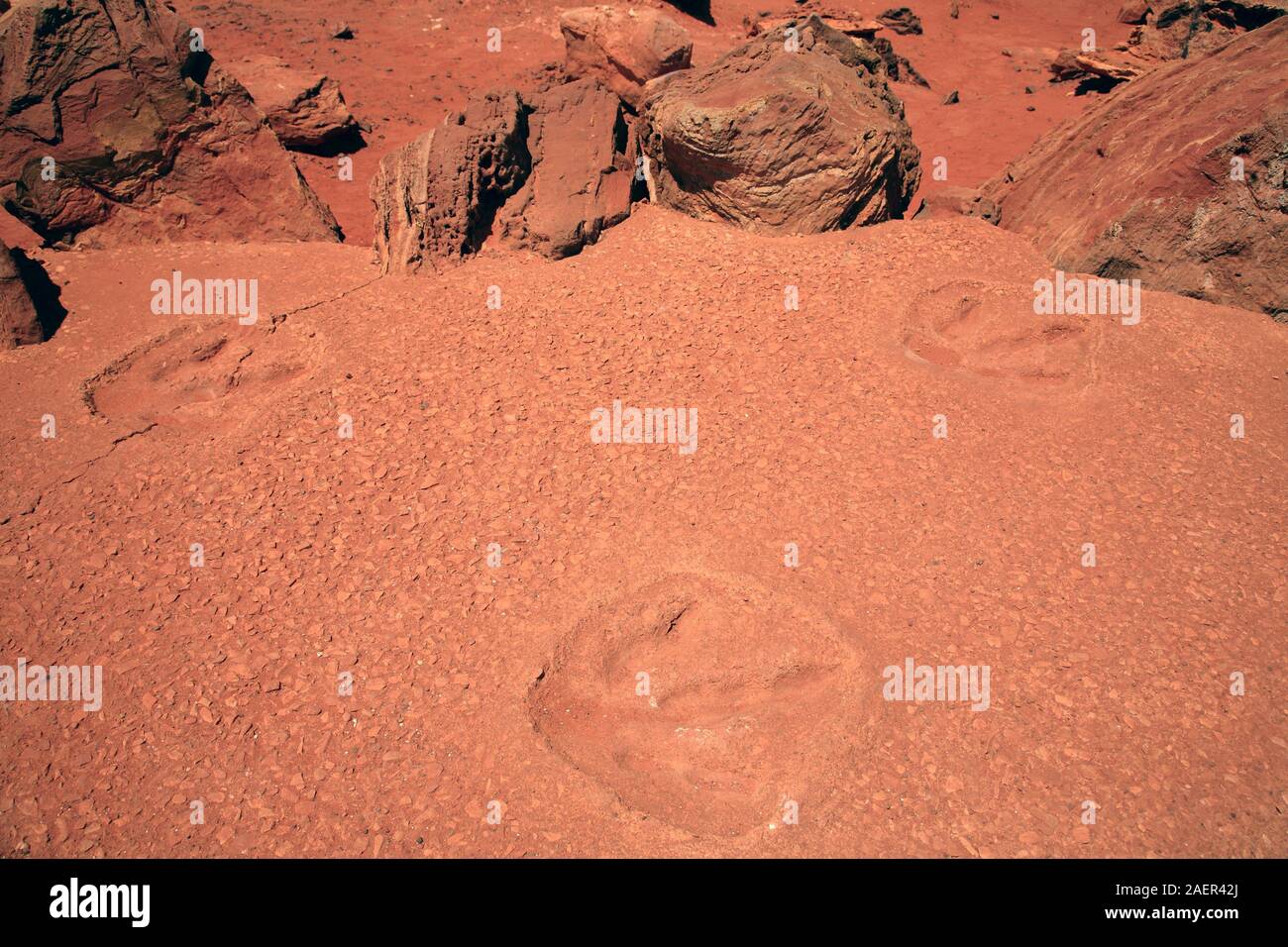 Dinosaur Footprints Cretaceous Period Gantheaume Point Broome North