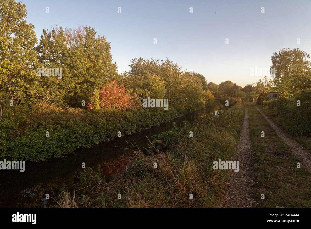 The River Crane with evening sunlight on autumn trees, London Stock Photo