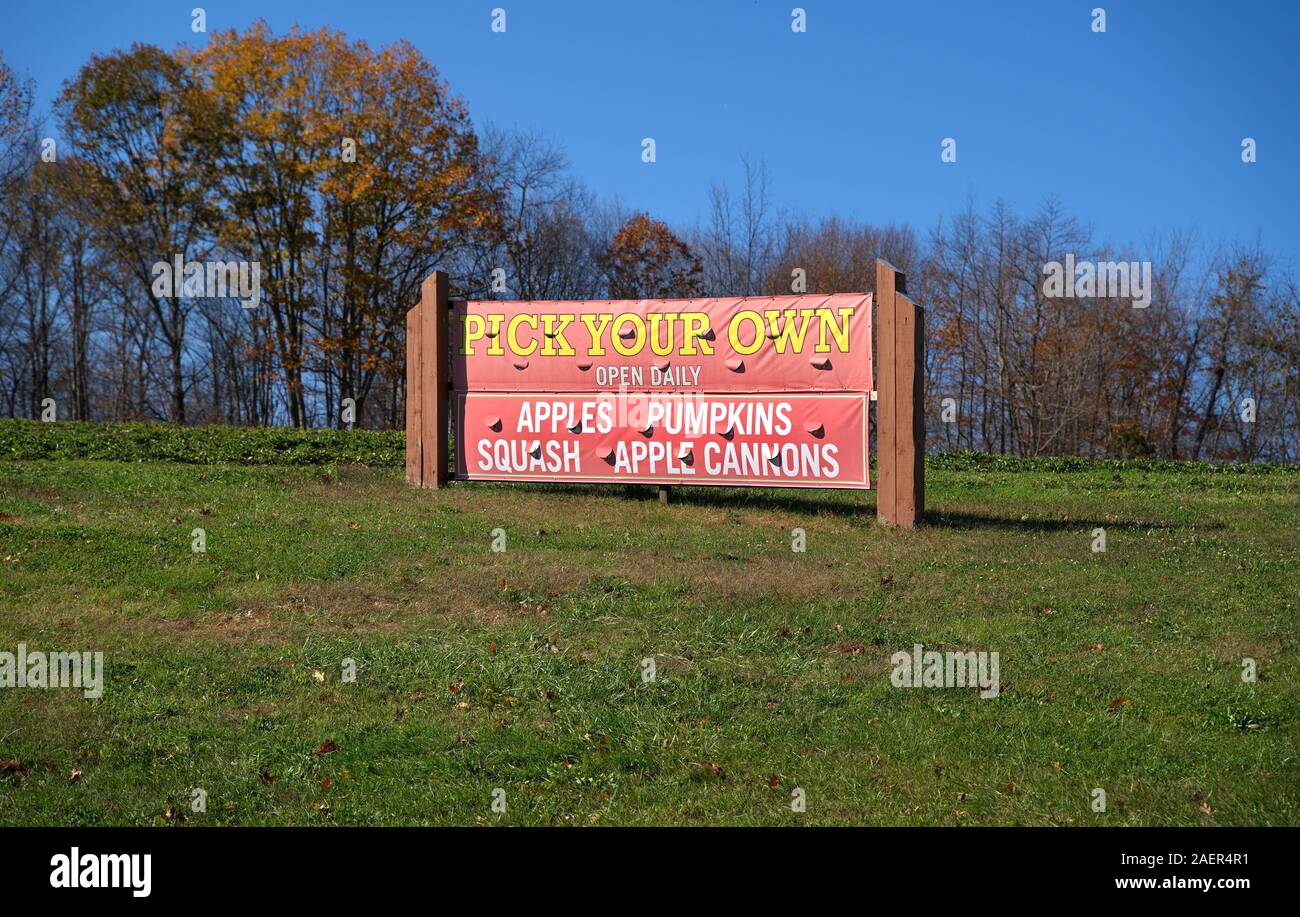 A fruit picking advertising sign with ventilation holes to prevent ripping from high winds. Stock Photo