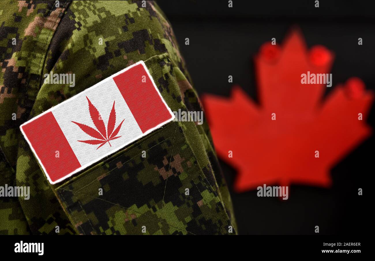 Cannabis in Canada. Cannabis leaf replacing the Maple leaf on the Canadian flag. Cannabis in Army. Stock Photo