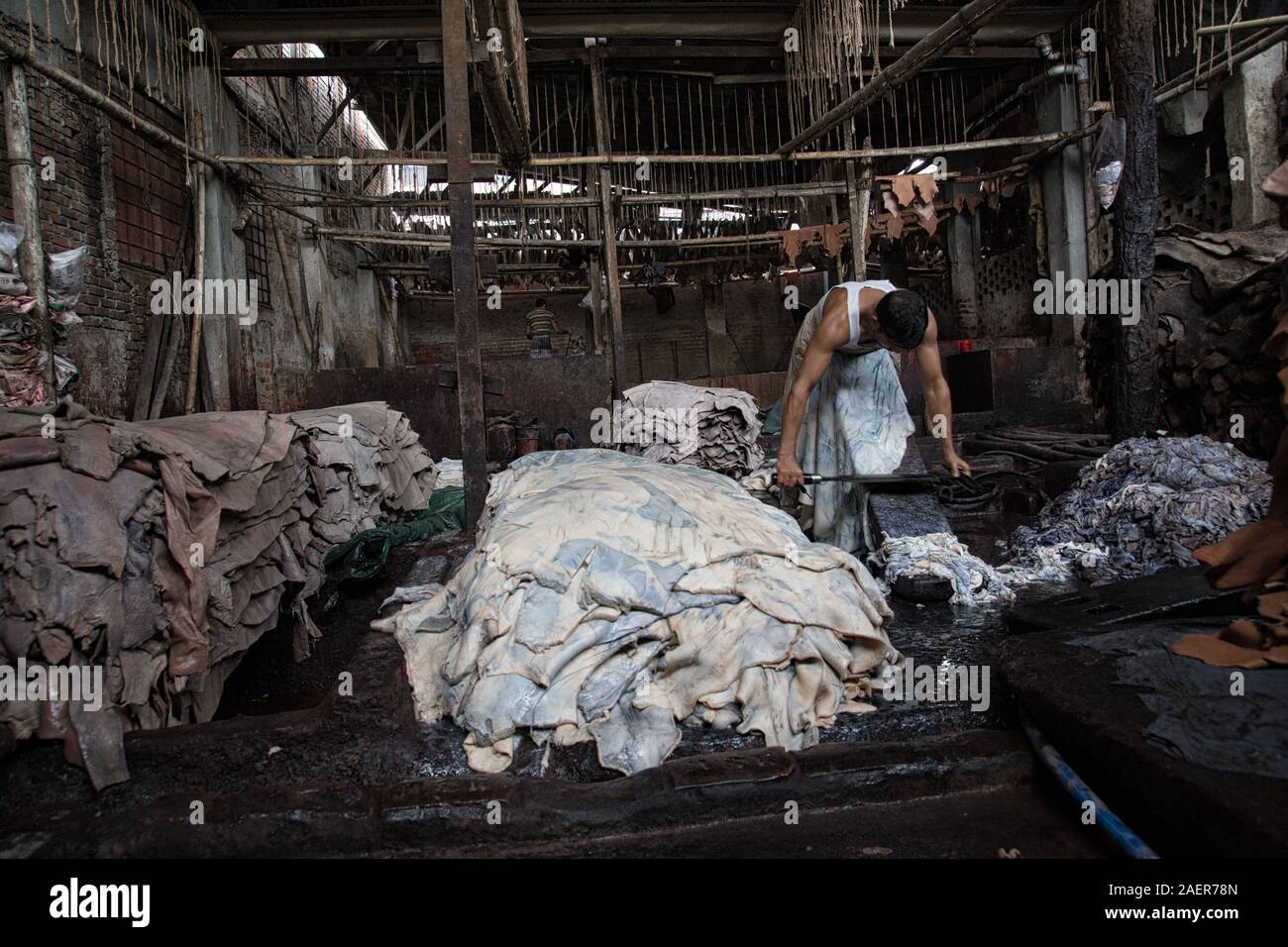 Working inside a leather factory in Dacca, Bangladesh. The cow leather