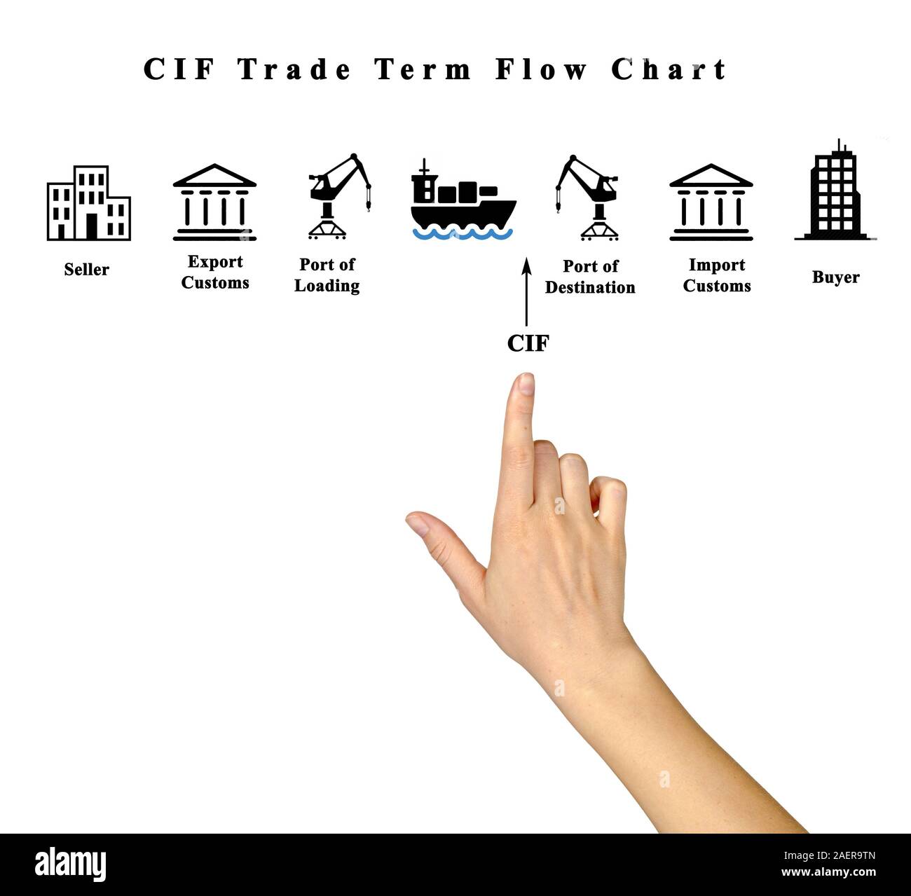 CIF Trade Term Flow Chart Stock Photo Alamy