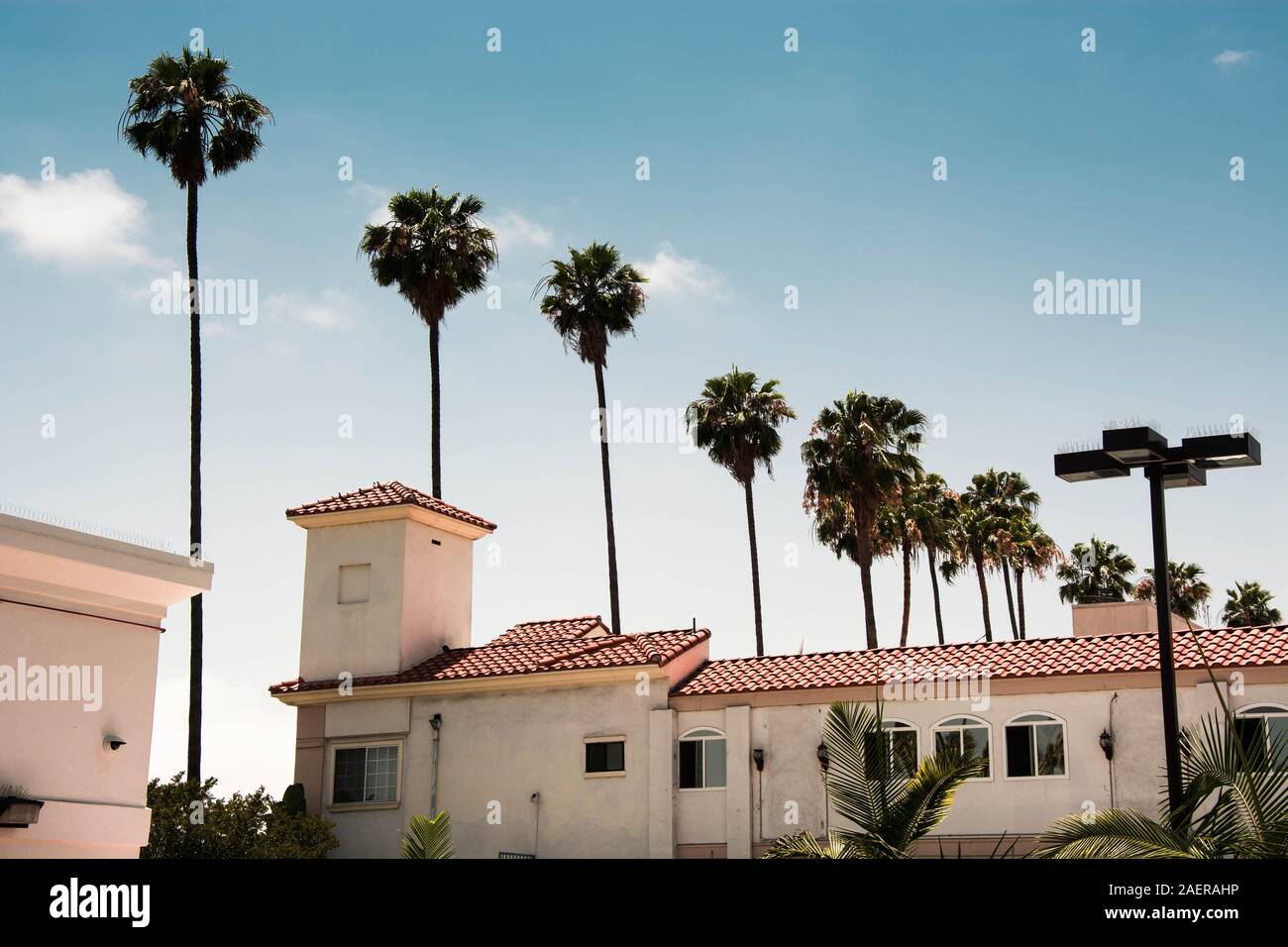 Californian palm trees with villa on a sunny day Stock Photo