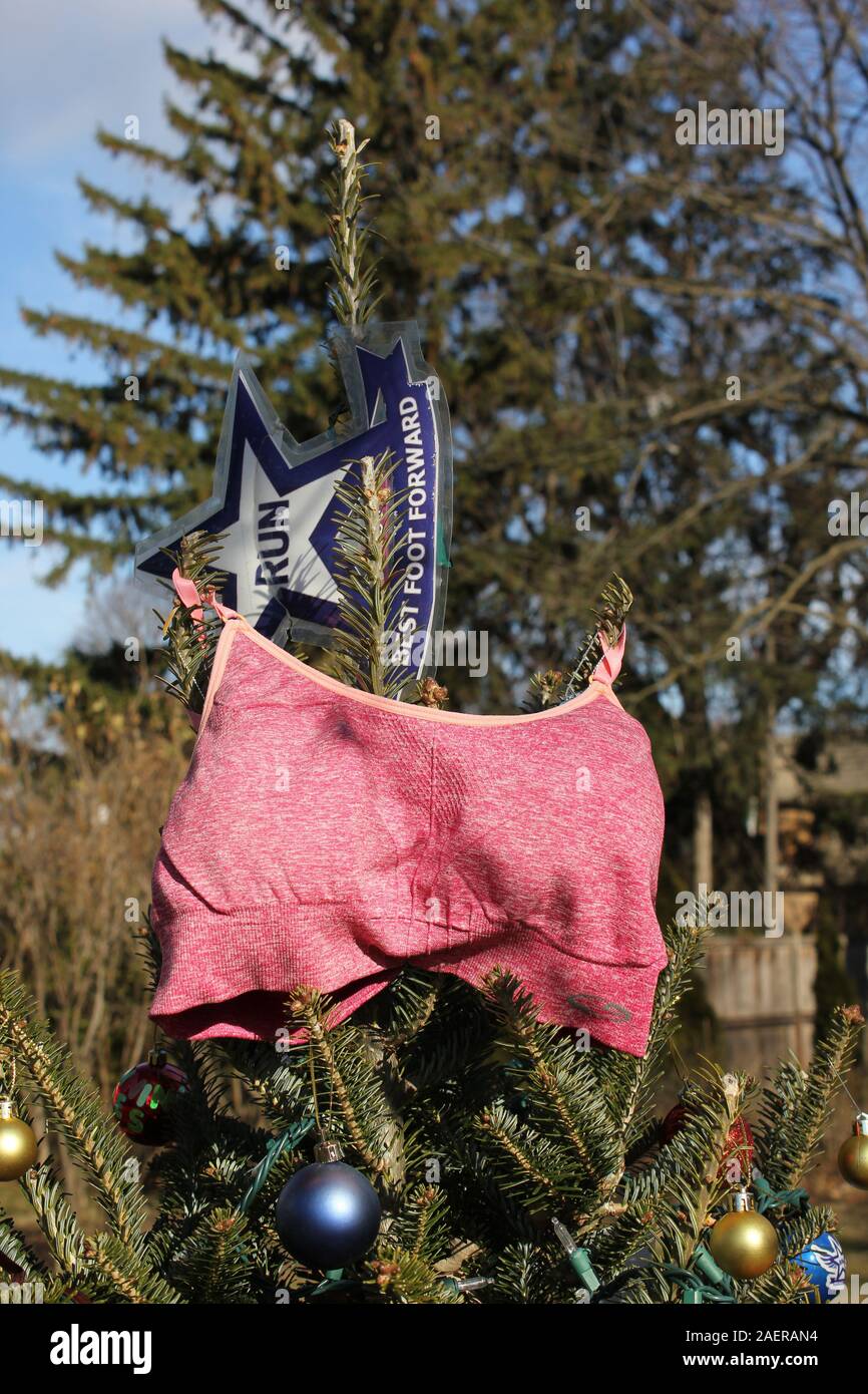 Fun, festive, handmade Christmas tree ornament of a woman's pink sports bra  Stock Photo - Alamy