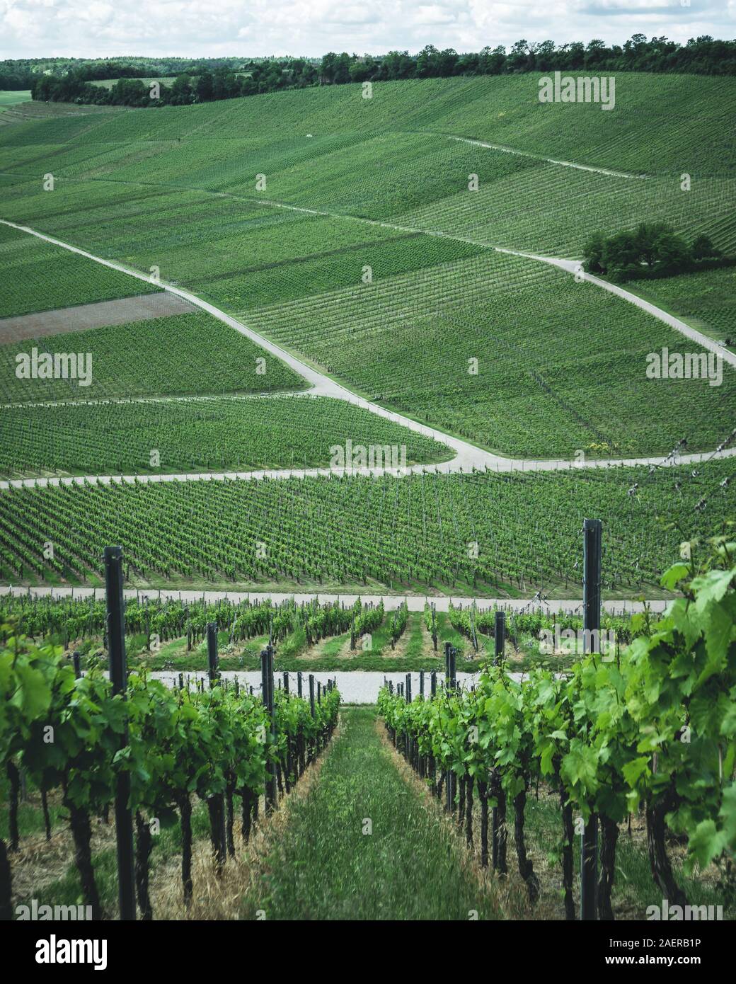 Blick über die Weinfelder beim Hörnle in der Nähe von Dürrenzimmern Stock Photo