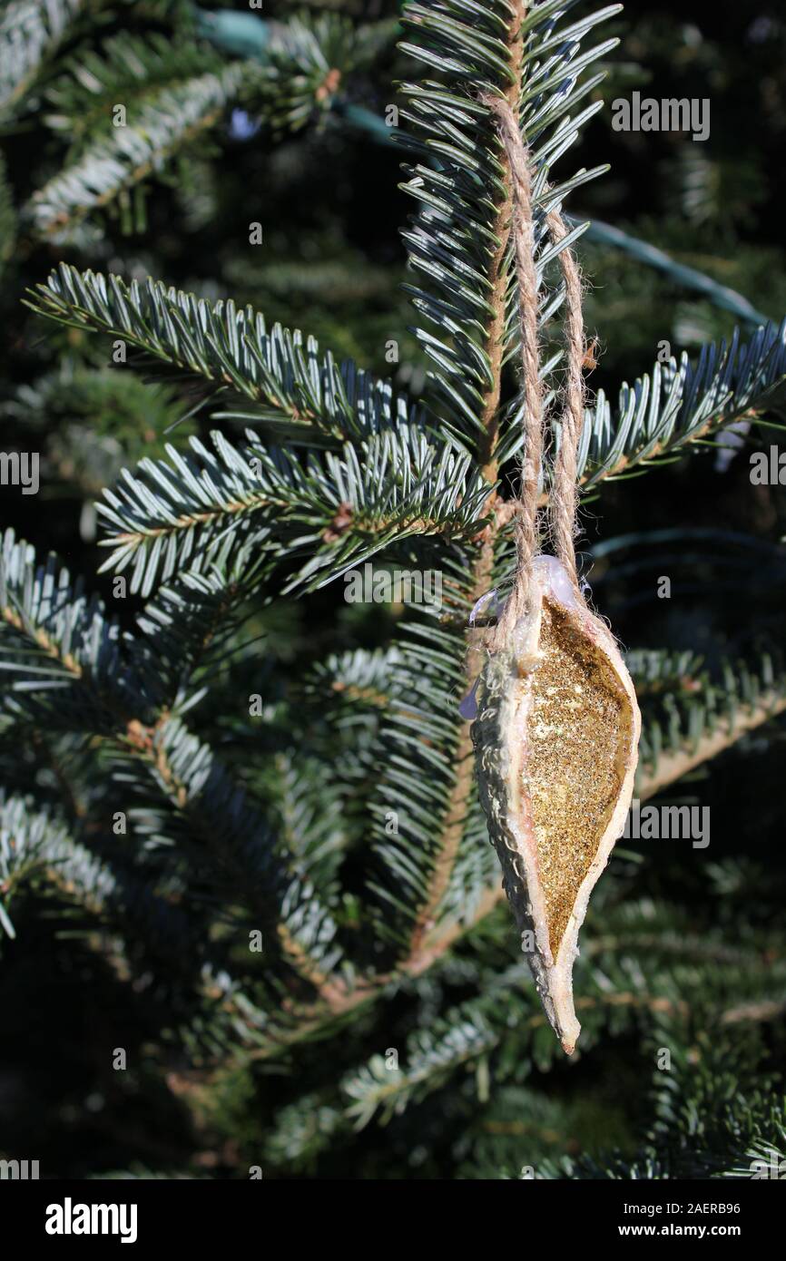Fun, festive Christmas tree ornament handmade by a child made out of dried milkweed seed pods Stock Photo
