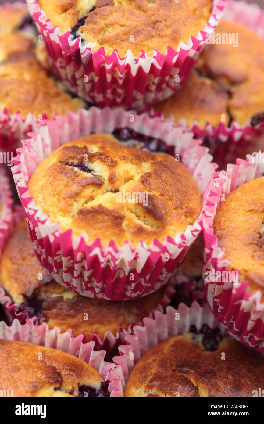 Home baked blueberry muffins. Freshly baked cakes. Stock Photo