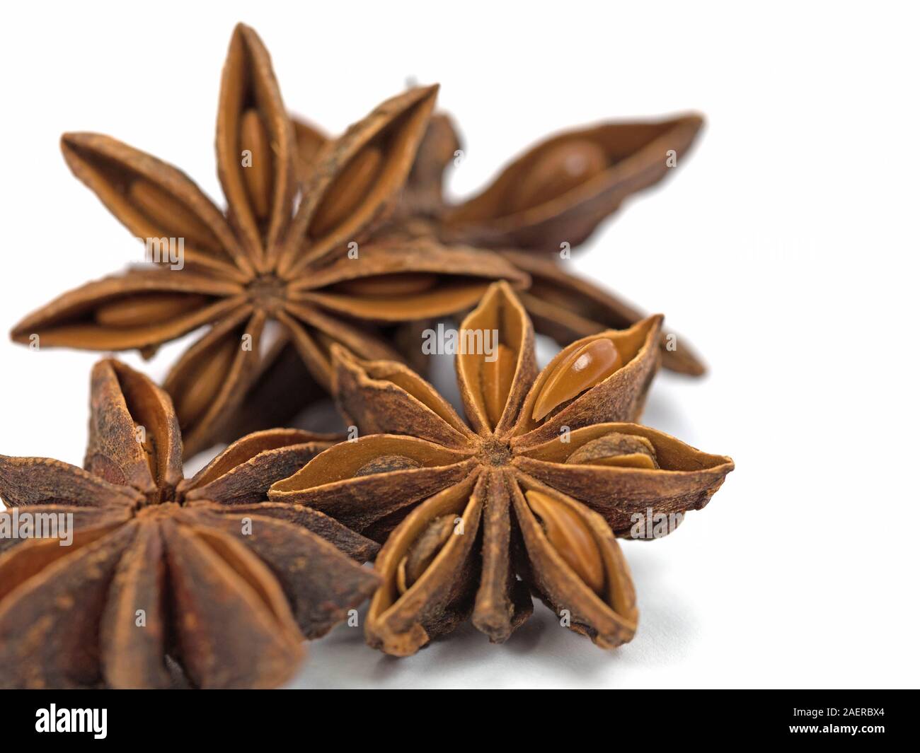 Anise stars in front of white background Stock Photo