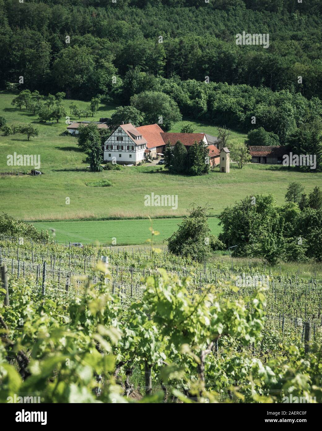 Gemütlicher Ausblick vom Derdinger Horn über Weinberge Stock Photo